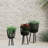 Corette Raised Wicker and Bamboo Planters (Set of 2)-1576059813-1598650352-1598650364