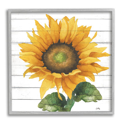 «Yellow Sunflower Blossom Bold Petals», conception rustique par Elizabeth Medley - impression