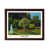 Brown Framed