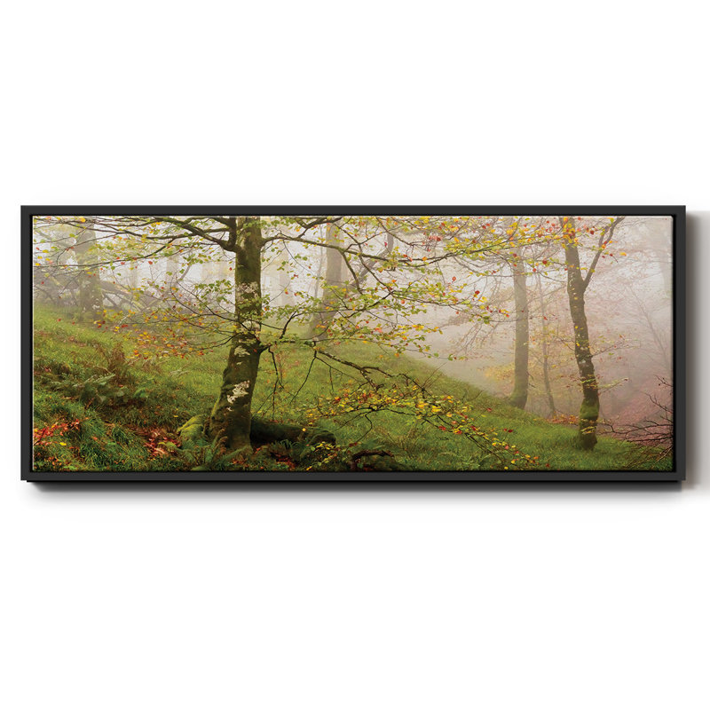 Printemps ou - reproduction de cadre flottant sur toile, Noir, H 20 po x l 50 po x P 1,5 po
