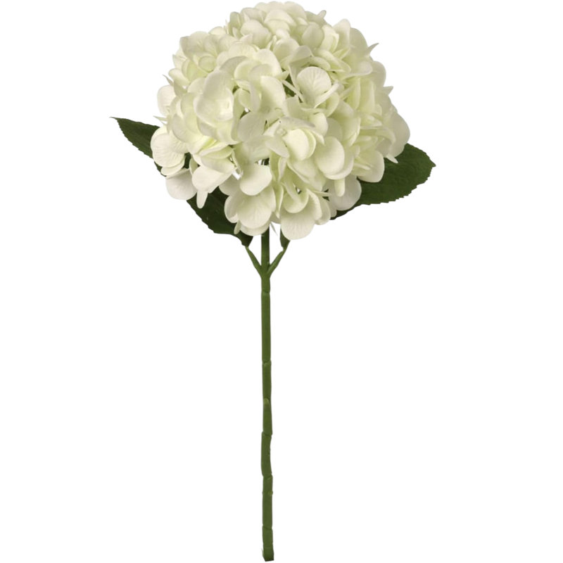 Tige d'hortensia 18 po - paquet de 6