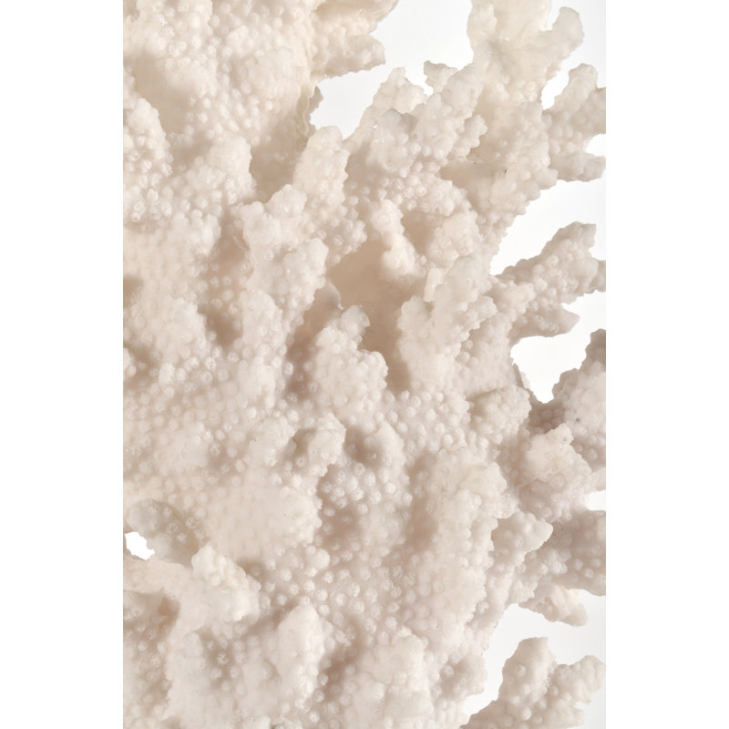 Corail Wadlington