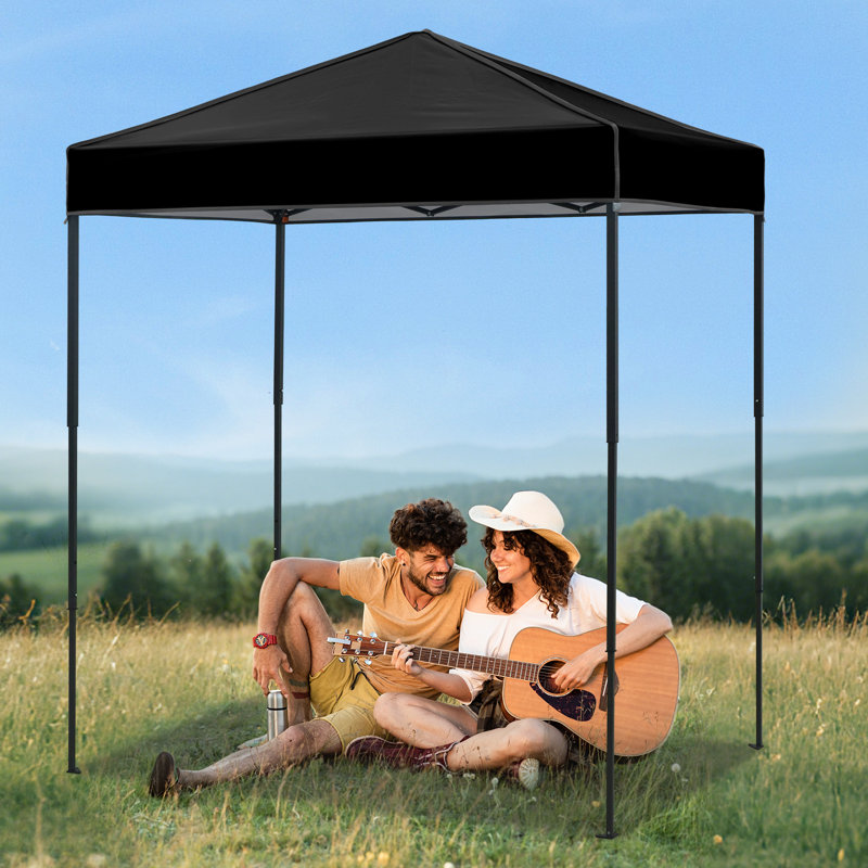 6x4 Canopy Tent, Heavy Duty Pop up Canopy with Carry Bag, Black