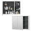 Bostyn 100cm x 75cm Surface Mount Mirror Cabinet-60528816
