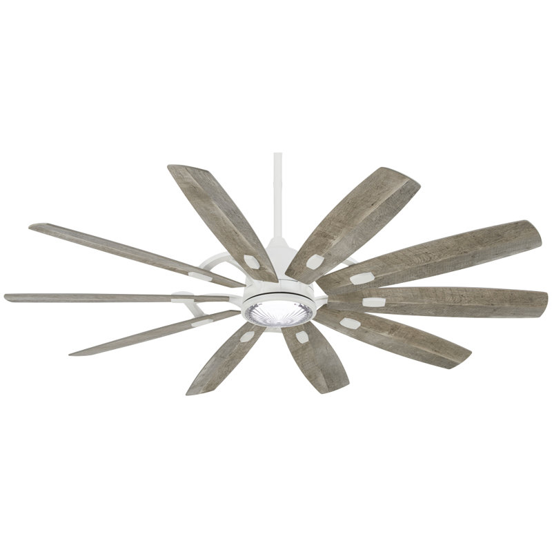 Barn 65'' Ceiling Fan with LED Lights