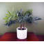 40cm Faux Plant in Planter