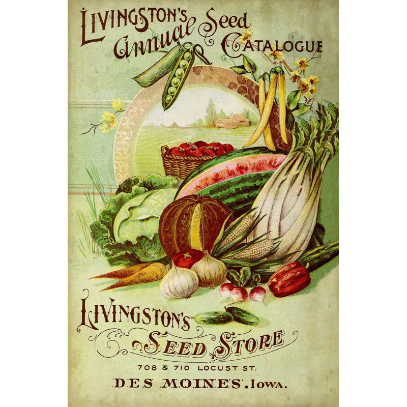 Paquets de graines antiques VII - Publicité sur toile tendue, H 48 po x l 32 po