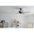 52'' Ceiling Fan-1187541486