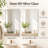 30x40 Inch  Bathroom Vanity Mirror - Frameless, Wall-Mounted, Anti-Corrosion & Rust-Resistant, Durable Vanity Mirror for Modern Bathroom Decor