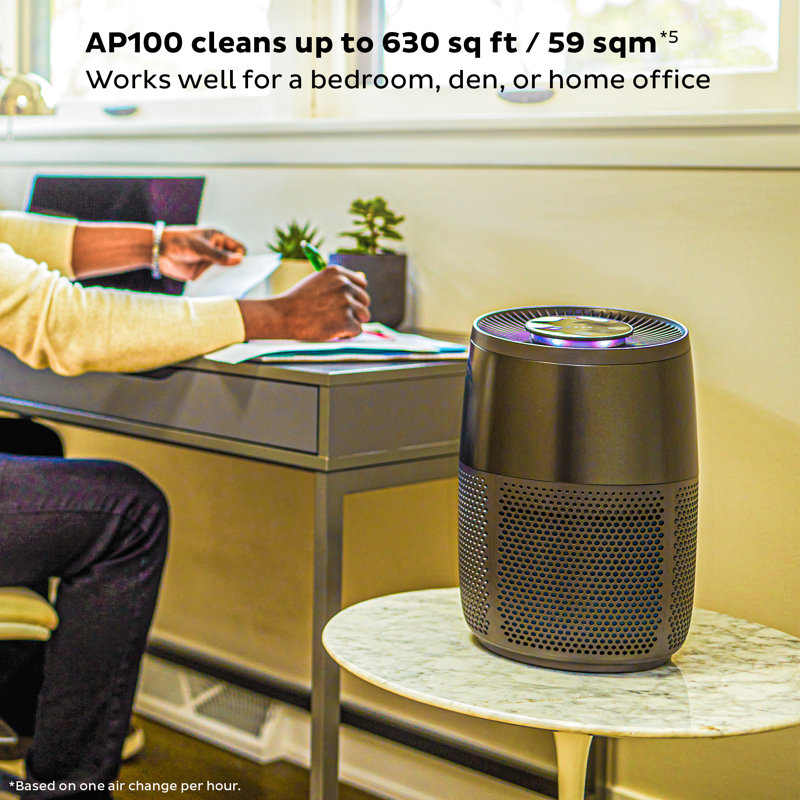 Purificateur d'air instantané avec véritable HEPA, Anthracite
