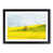 Black Framed