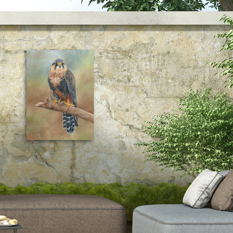 Toile d'extérieur David Stribble Aplomado Falcon, H 18 po x l 24 po
