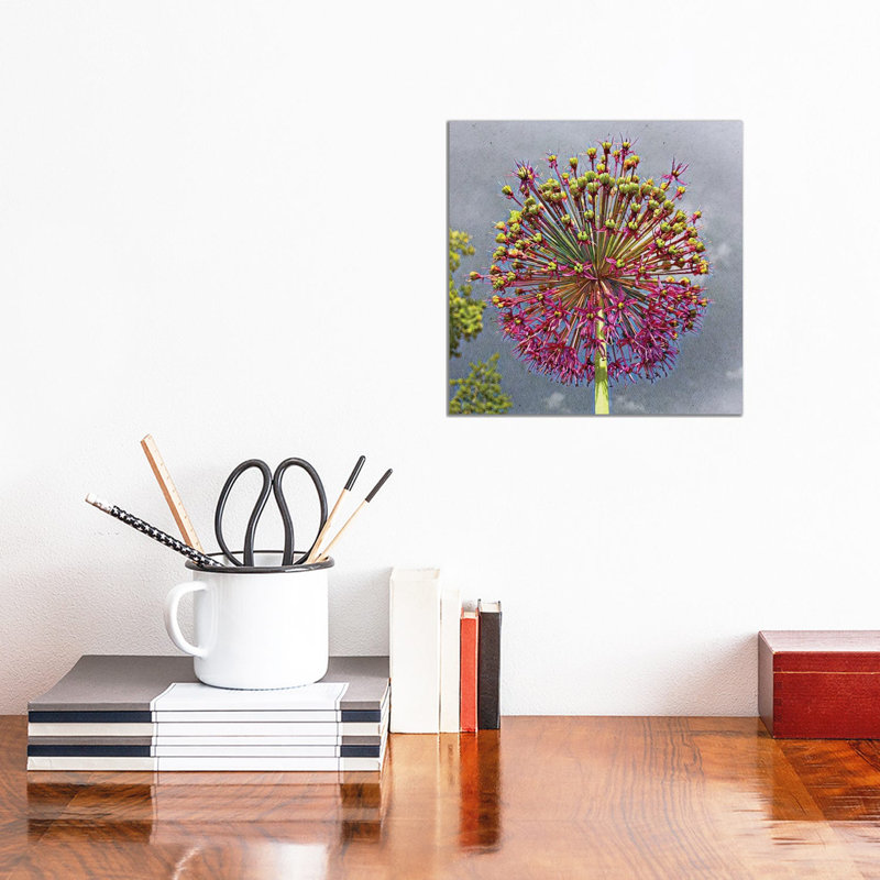 Sphere by Heidi Bannon - Wrapped Canvas Print, 30.48 cm H x 30.48 cm W