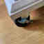 Customer photo 7 of 8