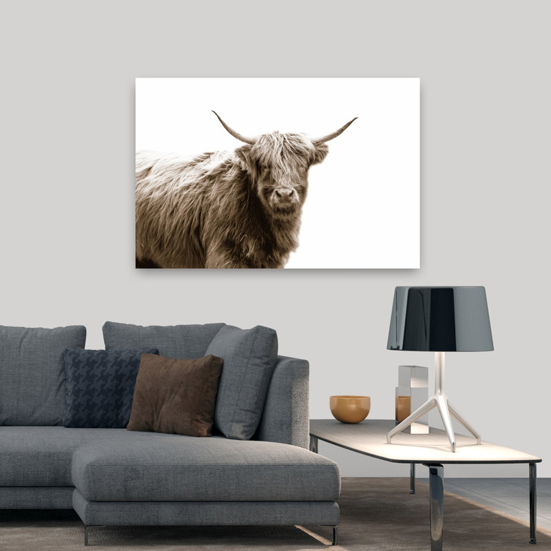 Highland Portrait, art de portrait de vache contemporain, H 48 po x l 32 po