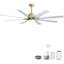 Grand ventilateur de plafond de 66 pouces avec lumière à DEL à intensité variable et 8 pales en ABS avec moteur à courant continu réversible et intelligent pour le salon-1097424800-1097424805