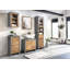 Ellarie Bathroom Cabinet
