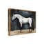 Reproduction d’art sur toile tendue, "Equestrian Studies VI" par Naomi McCavitt-875348383