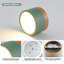 Flush Mount-1159779749