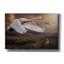 «Take Flight» par Alan, estampe numérique sur toile-1855713803