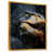 Gold Floater Framed