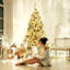 Lighted Artificial Pine Christmas Tree-1661955456