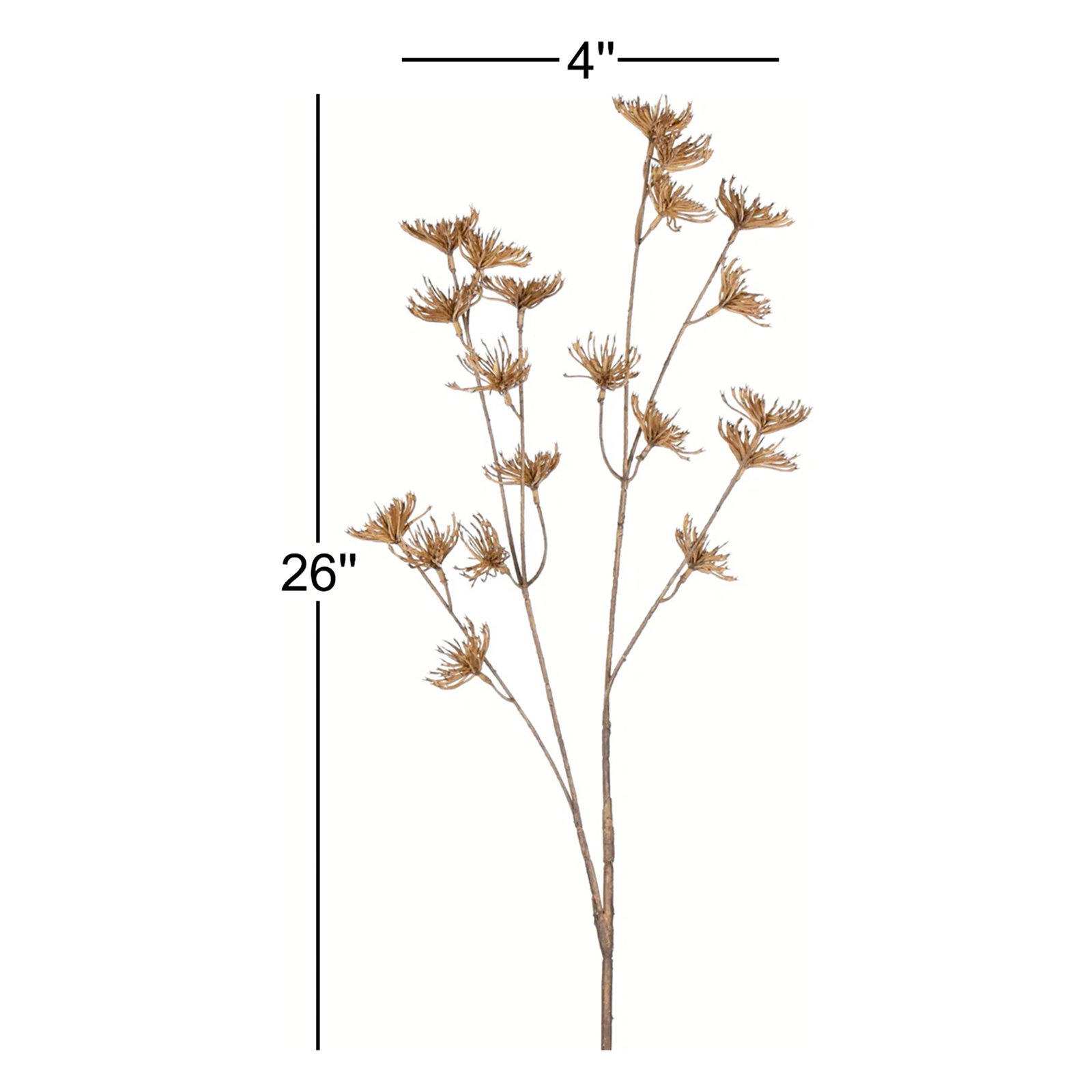 26" Anna Lace Branch