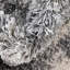 Tapis abstrait en polypropylène tissé à la machine en ivoire / gris-243550459