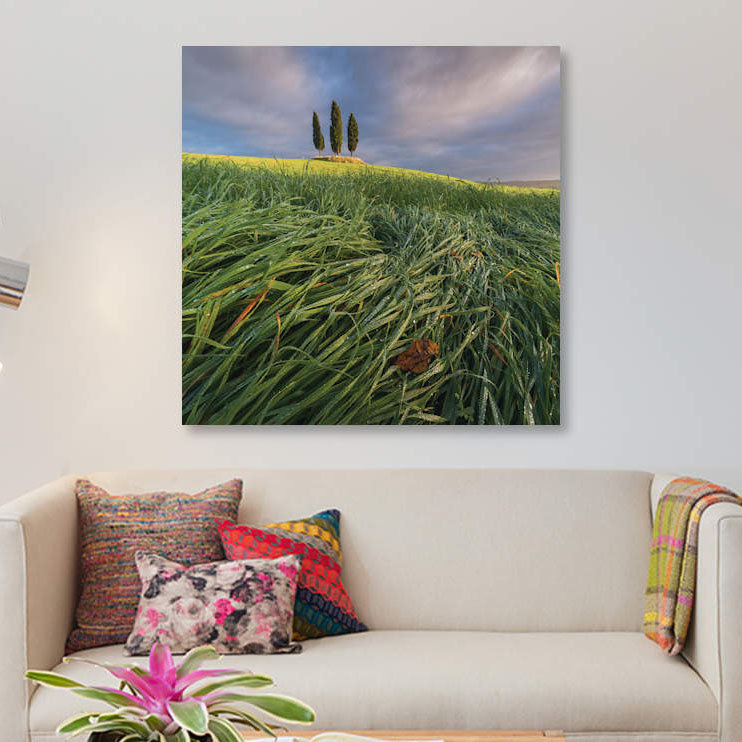 «Spring in Tuscany VI», impression sur toile, H 37 po x l 37 po x P 1,5 po, Toile tendue, Pas de tapis