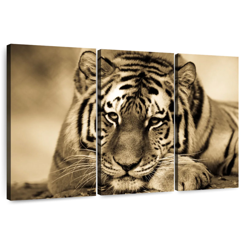 Ferocious Tiger III, 20" H x 33" W