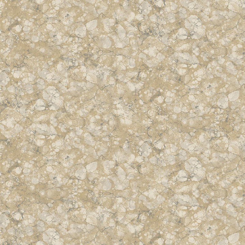 Rouleau de papier peint L 32,7 pi x l 20,5 po Champaign, Marron foncé