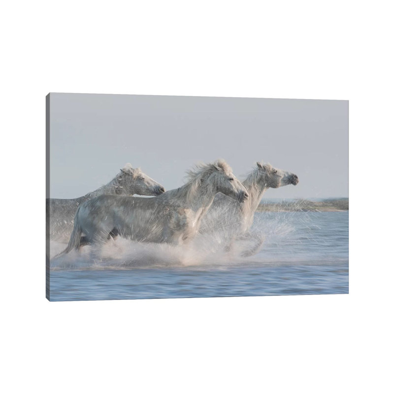 White Angels Of Camargue XXVII by Daniel Kordan - Wrapped Canvas Print, 20.32 cm H x 30.48 cm W