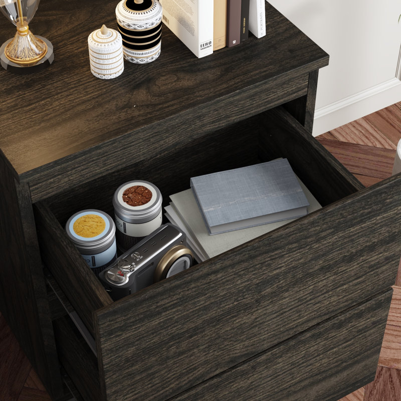 19'' H X 15.7'' W 2-Drawer Nightstand(Single), Dark Walnut