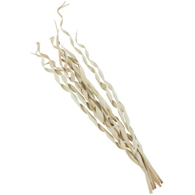 Berglund Palm Leaf Sculpture