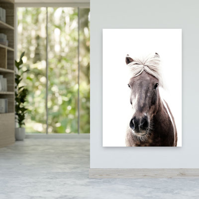 Islande, cheval, Lucy, élégant cheval minimaliste pacifique, art mural