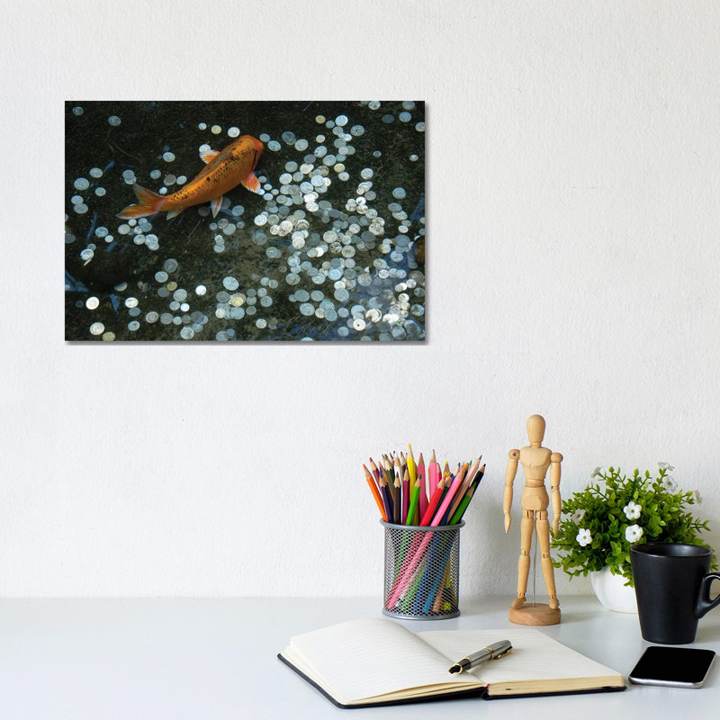 Koi With Coins In A Display At The Taronga Zoo by Joel Sartore - Gallery-Wrapped Canvas Giclée on Canvas, Canvas