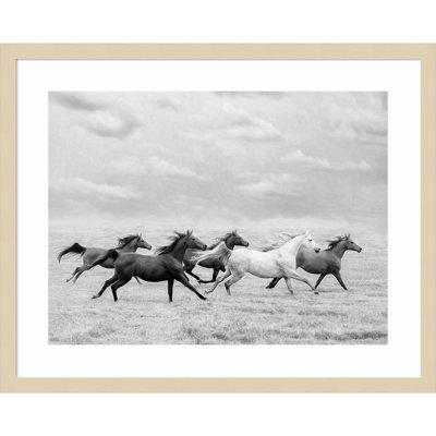 Horse Run I Photo Print by PHBurchett