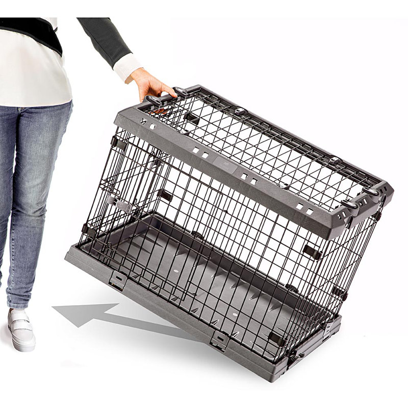 Plastic Collapsible Pet Crate, Large (30.3" H x 28.9" W x 42.1" D)