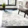 Odin Abstract Gray Area Rug