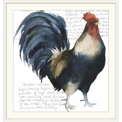 « i », reproduction d’impression dépilée Rooster's Crow