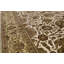 Chantel Oriental Area Rug