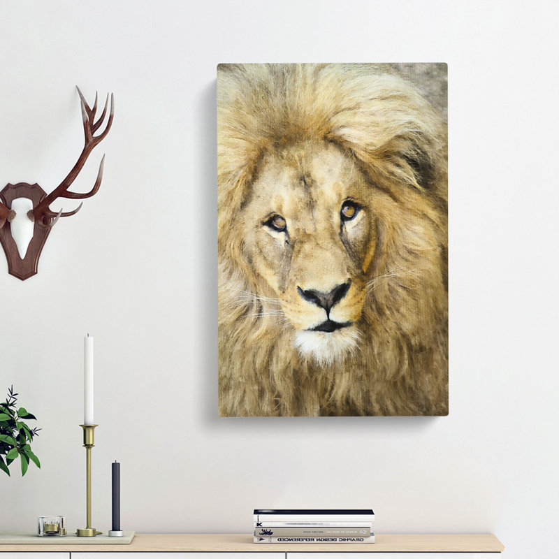 The Face Of A Lion - Wrapped Canvas, 60cm H x 40cm W x 3cm D