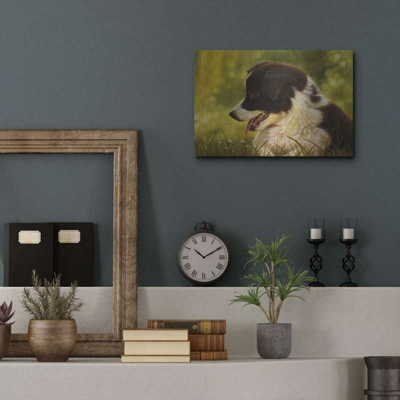 «Border Collie Garden» par John Silver