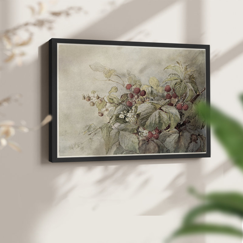 Motif floral rétro - Lxxiv - reproduction encadrée, H 8 po x l 10 po, Noir, noir, noir, noir