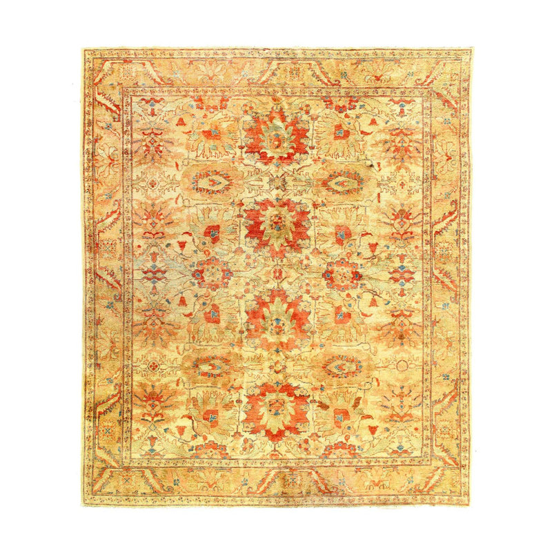 Oriental Area Rug in Beige