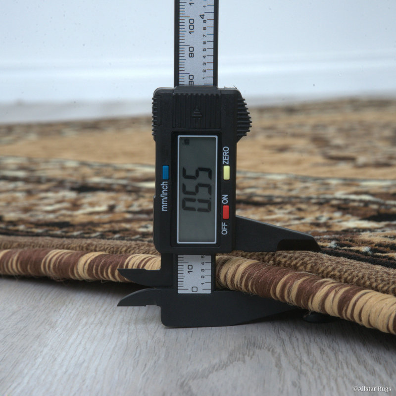 Arkin Floral Indoor Rug