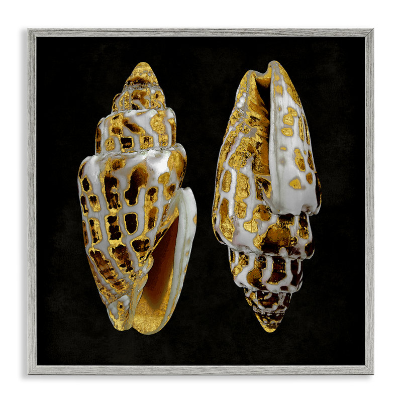 «Spots Cowrie Shells», art de la giclée noire encadrée par Caroline Kelly, Estampe numérique Farmhouse, H 12 po x l 12 po