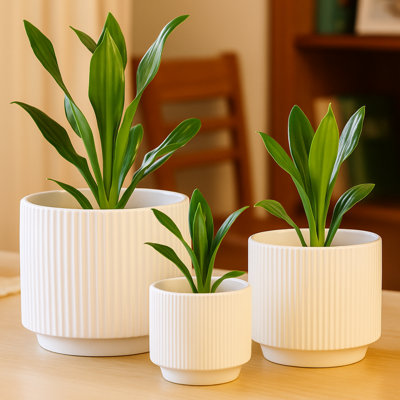 3-Piece White Ceramic Planter Pot Set with Ribbed Texture