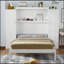 Murphy Bed With 2 Wardrobe And Storage Shelf, Multifunctional Foldable Platform Bedframe For Guest-Room, Bedroom, White