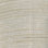 Rouleau de papier peint 24 pi x 36 po Sanger Foil Grass